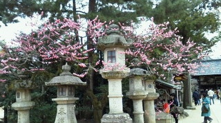 201104031234000.jpg